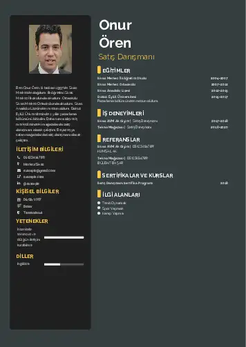 cv indir